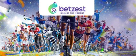 betzest sports